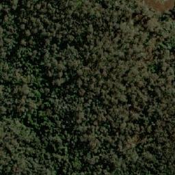 Satellite imagery of Curate Bluff, AU