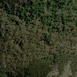 Satellite imagery of Curate Bluff, AU