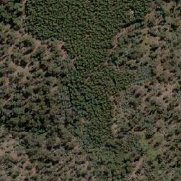 Satellite imagery of White Rock Bluff, AU