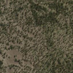 Satellite imagery of Billopp Bluff, AU