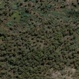Satellite imagery of White Rock Bluff, AU
