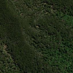 Satellite imagery of Prospect Ridge, NZ
