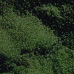 Satellite imagery of Black Hill, AU