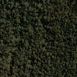 Satellite imagery of Curate Bluff, AU