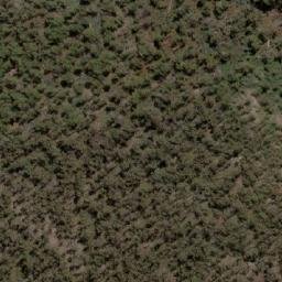 Satellite imagery of White Rock Bluff, AU