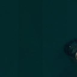 Satellite imagery of Punta Melonhue, CL