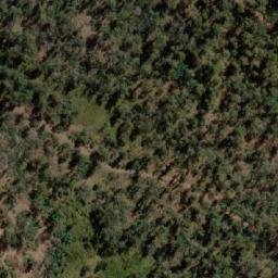 Satellite imagery of Bald Hill, AU