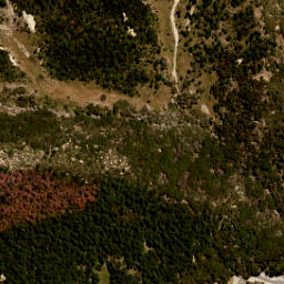Satellite imagery of Fork Spur, NZ