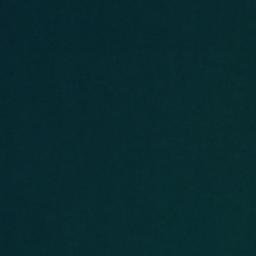 Satellite imagery of Punta Puñihuil, CL