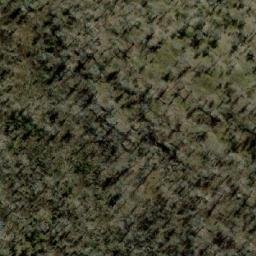 Satellite imagery of Pine Hills, AU