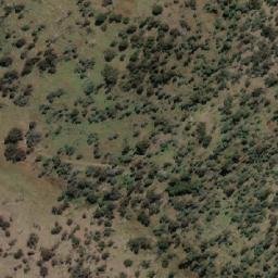Satellite imagery of Ladies Hill, AU