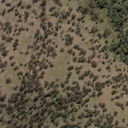 Satellite imagery of Ladies Hill, AU