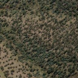 Satellite imagery of Ladies Hill, AU