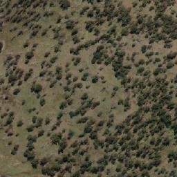 Satellite imagery of Ladies Hill, AU
