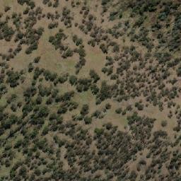Satellite imagery of Ladies Hill, AU