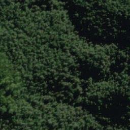 Satellite imagery of Lodders Lookout, AU