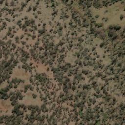 Satellite imagery of Sapling Hill, AU