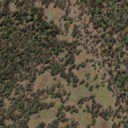 Satellite imagery of Sapling Hill, AU