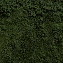 Satellite imagery of Camp Hill, AU