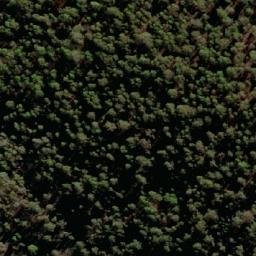 Satellite imagery of Jacks Gap, AU