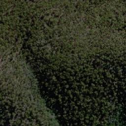 Satellite imagery of Castor Oil Bottle, AU