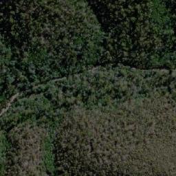 Satellite imagery of Castor Oil Bottle, AU