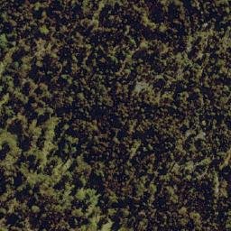 Satellite imagery of Tods Hill, AU