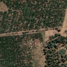 Satellite imagery of Didos Hill, AU