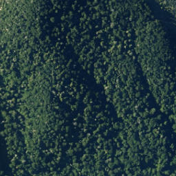 Satellite imagery of George Spur, NZ