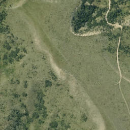 Satellite imagery of The Carriage Drive, NZ
