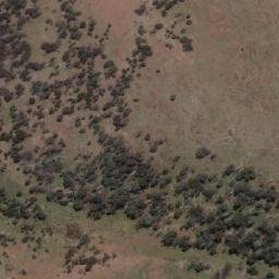 Satellite imagery of Pringle Hills, AU