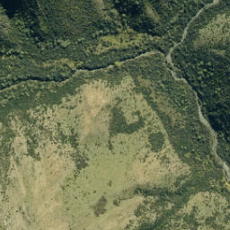 Satellite imagery of Rough Spur, NZ