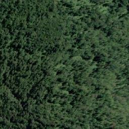 Satellite imagery of Punta Quemada, CL