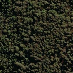 Satellite imagery of Burstgall Hill, AU