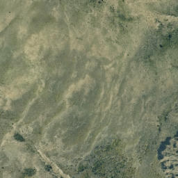 Satellite imagery of Tytler Point, NZ