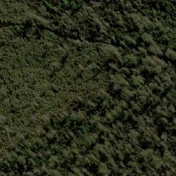 Satellite imagery of D’Arcys Bluff, AU