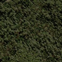 Satellite imagery of D’Arcys Bluff, AU