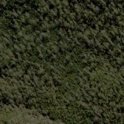 Satellite imagery of D’Arcys Bluff, AU