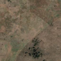 Satellite imagery of Bellevue Hill, AU
