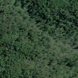 Satellite imagery of Punta Camau, CL