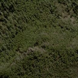 Satellite imagery of D’Arcys Bluff, AU
