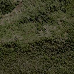 Satellite imagery of D’Arcys Bluff, AU