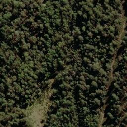 Satellite imagery of Four Mile Marsh Hill, AU