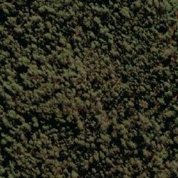 Satellite imagery of Four Mile Marsh Hill, AU