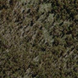 Satellite imagery of Little Jones Lookout, AU