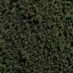 Satellite imagery of Cobbs Hill, AU