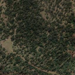 Satellite imagery of Butchers Hill, AU
