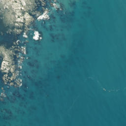 Satellite imagery of Paparoa Point, NZ