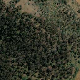 Satellite imagery of Sydenham Hill, AU