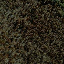 Satellite imagery of Hill 24, AU